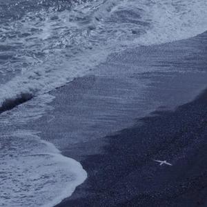 中国好黄站免费下载安装
