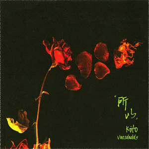 中国好黄站免费下载安装
